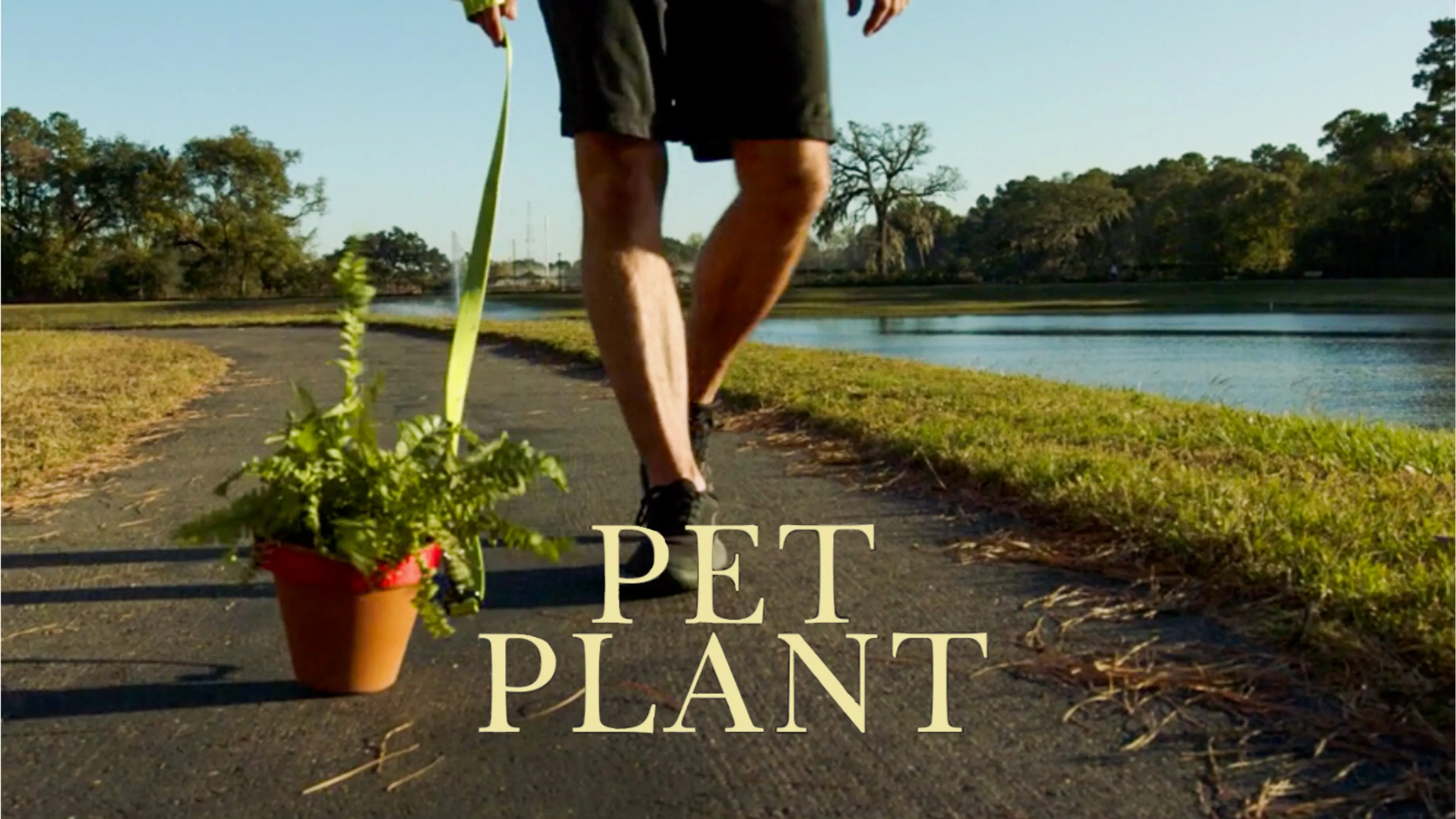 Pet Plant poster